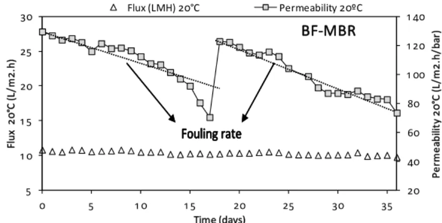 Figure 3: Fouling rate estimation during constant flux operation. 