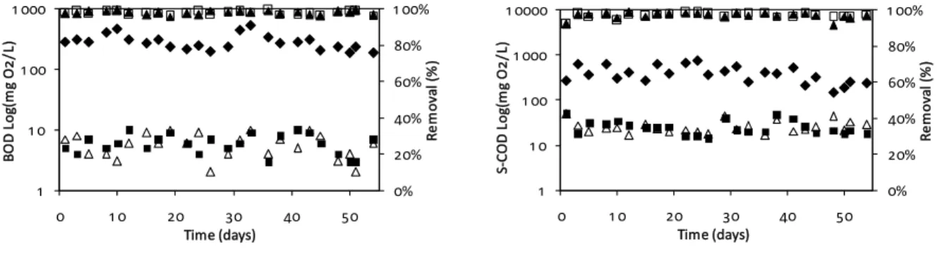 Figure 4: BOD and S-COD profiles in C-MBR and BF-MBR during the experimental evaluation period