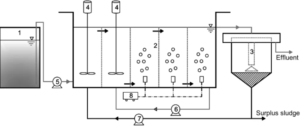 Figure 1: Schematic diagram of the A 2 /O process : 1) influent tank; 2) A 2 /O reactor  system; 3) secondary sedimentation tank; 4) stirring apparatus; 5) influent feeding pump; 