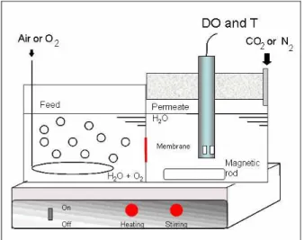 Figure 1: Scheme of the dialysis cell used in oxygen  permeation tests. DO and T refers to the dissolved  oxygen and temperature sensor