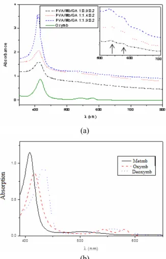 Figure 2: (a)Visible spectra of Mb–immobilized GA-  crosslinked PVA membranes and (b) Typical spectra  of metmyoglobin, oxymyoglobin and deoxymyoglobin