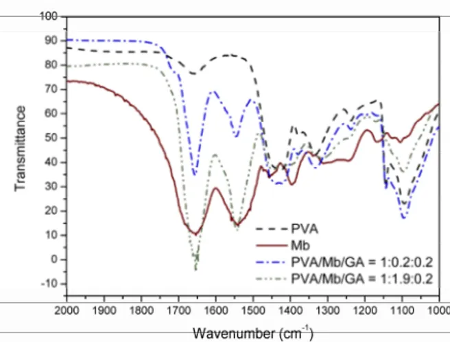 Figure 3: Infrared spectra of myoglobin–immobi- myoglobin–immobi-lized PVA membranes compared to lyophimyoglobin–immobi-lized Mb  and unmodified PVA sample
