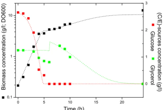 Figure 4: Model predictions (dotted lines) vs. 