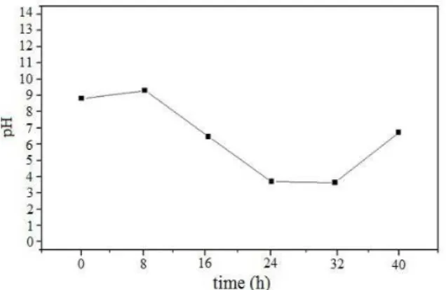 Figure 2: pH variation in the cathodic sector over time. 