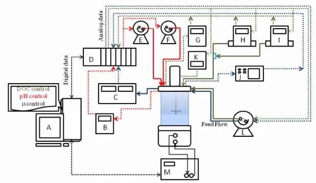Figure 1: Experimental set-up: A - the computer program SUPERSYS_HCDC R ; B - pH meter;  