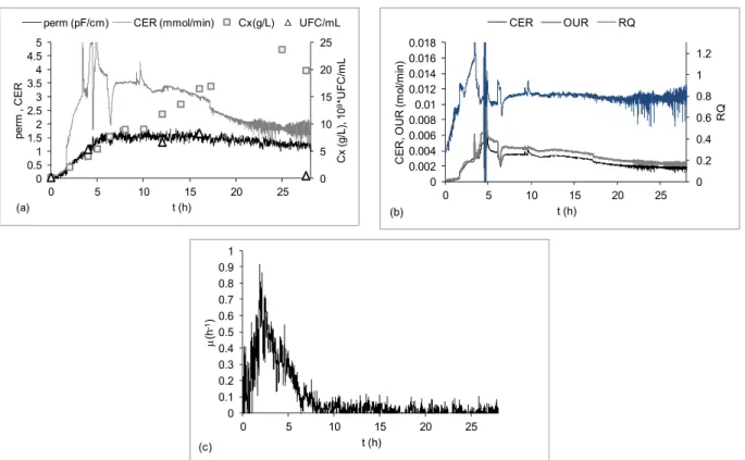 Figure 6: Fed-batch cultivation of E. coli BL21(D3) expressing a fragment of SpaA antigenic protein