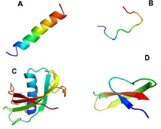 Figura  1.     Estruturas  tridimensionais  de  peptídeos  antimicrobianos  (PAMs)  baseada  na  composição  de  seus  resíduos  de  aminoácidos,  tamanho  e  estruturas  conformacionais