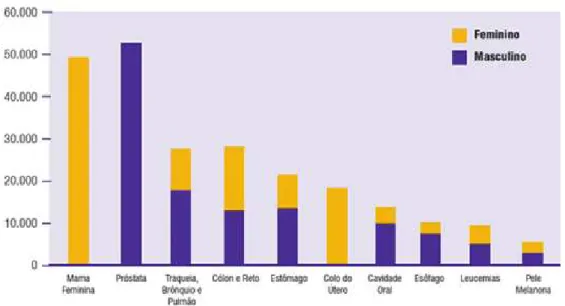 Figura 5 . Tipos de câncer de maior incidência no mundo. Fonte: Instituto Nacional do câncer  (INCA)