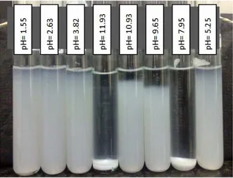 Figure 1: Stability analysis of 0.5 vol.% alumina nanofluids at different pH after 26 days