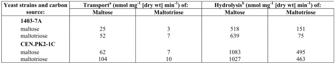 Table 2: Maltose and maltotriose active transport and hydrolysis by yeast strains. 