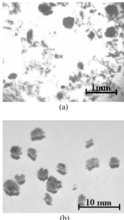 Figure 2: The evolution of biomass in the granular  reactor throughout the operational period at (a) day  30 and (b) day 200