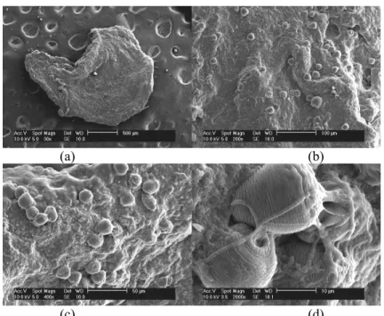 Figure 4: (a) Influent COD concentration (♦); Effluent COD concentration (●); and removal COD  efficiency (٭) during operation