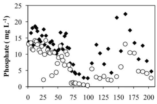 Figure 6: Influent (♦) and effluent (○) phosphate  concentrations in mg L -1 . 