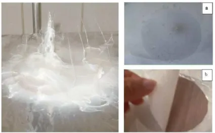 Figure 3: On the left, a picture of the membrane made from the  6D-blend solution (with NaCl); on the right, the membrane made  from blend 4B (without salt), a) picture taken immediately after the  electrospinning process, b) releasing the membrane from th