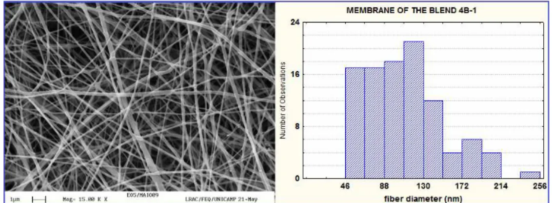 Figure 5: SEM image at 15,000-fold magnification and a representative histogram of the fiber  diameter distribution of a membrane made with blend 4B produced with the basic equipment at  an applied tension of 20 kV and a 9-cm distance between the needle ti
