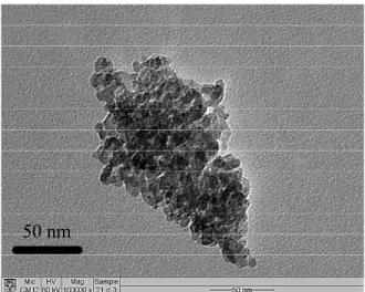 Figure 6: TEM image of the Pd-B/γ-Al 2 O 3  catalysts  prepared under the optimized condition