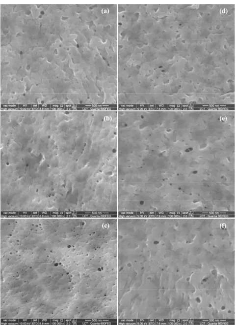 Figure 3: Membrane SEM surface images: (a) Control; (b) 0% PVP + 2%