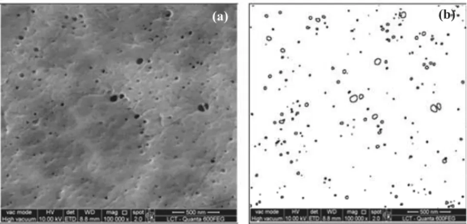 Figure 4: (0% PVP + 4% clay) membrane SEM surface image: (a) before  manipulation; (b) after manipulation