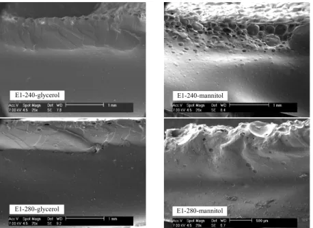 Figure 9: SEM micrographs of matrices with low immobilization yields. 