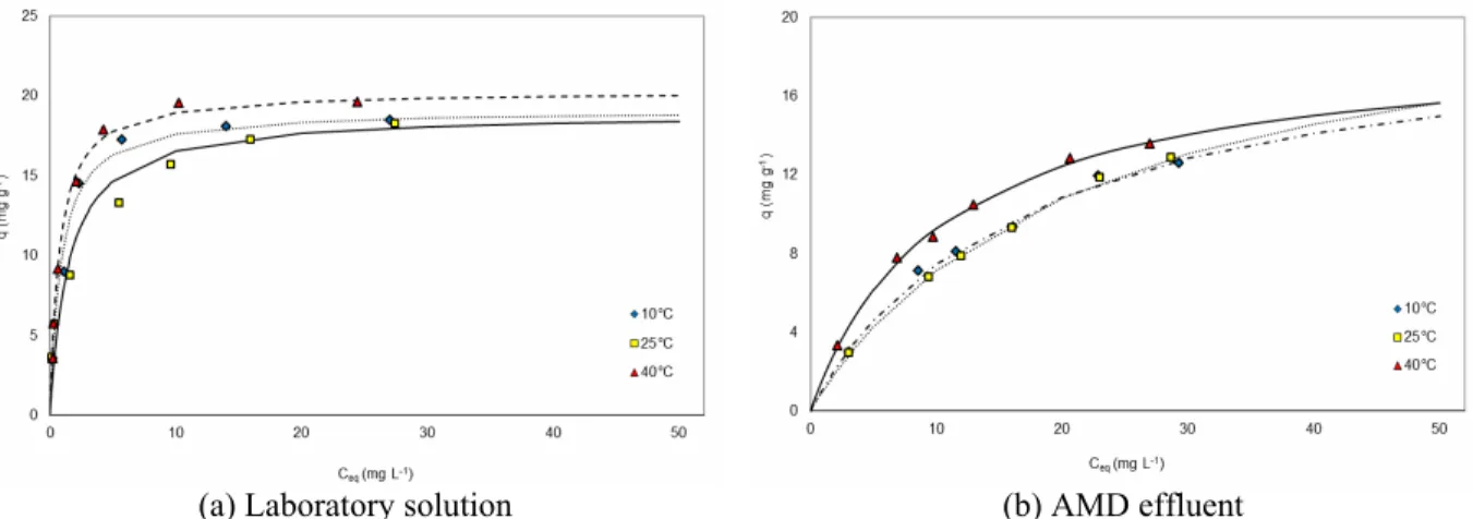 Figure 5: Effect of temperature on the isotherm for manganese removal with bone char (150 rpm, <53 µm,  1/400 g mL -1 , 48 hours; continuous lines are Langmuir model): (a) Laboratory solution (C 0  = 100 mg L -1 ,  pH i  = 5.76) and (b) AMD effluent (pH