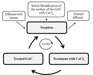 Figure 1: Schematic diagram of the system used in  the sorption/treatment tests. 