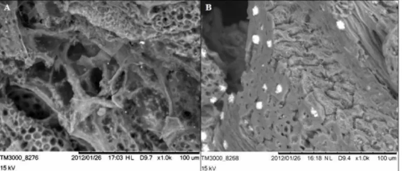 Figure 9: Point of zero charge (pH PZC ) for chemi- chemi-cally treated and untreated activated carbon