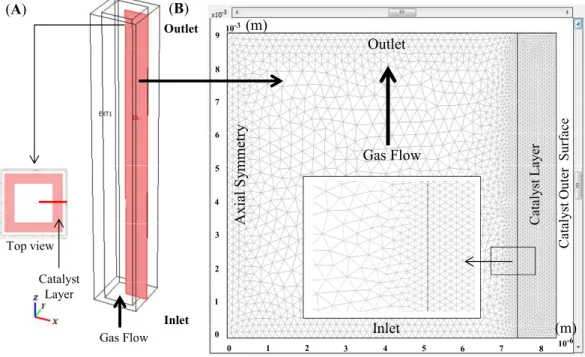 Figure 3: The model geometry consists of gas flow beside the catalyst layer: (A) geometrical  shape; (B) grid plot