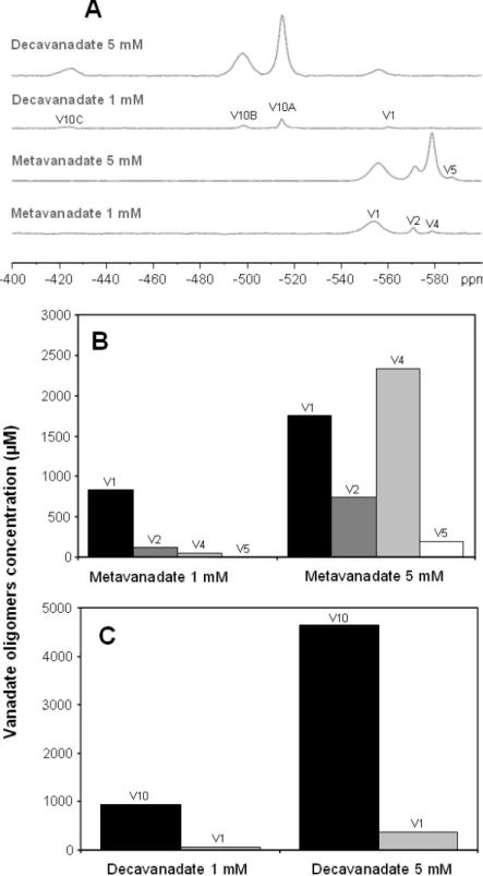 Figure 3.1 - 51V NMR spectra of metavanadate and decavanadate solutions in DMEM. Spectra were  performed at 22°C and pH 7.1
