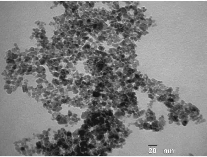 Figura 2.2: Micrografia eletrônica das nanopartículas de maghemita funcionalizadas  com citrato