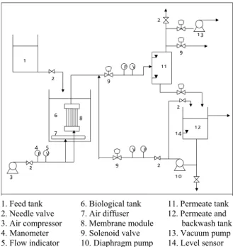 Figure 1: Layout of the MBR system used. 