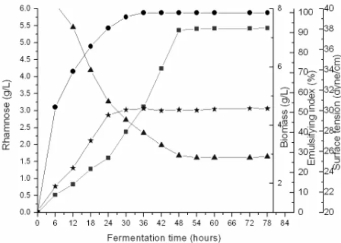 Figure 4 shows that cell growth occurred in the  first 24 hours of fermentation and that the rhamnose  concentration increased for up to 48 hours; therefore,  cell growth is partly associated with biosurfactant  production