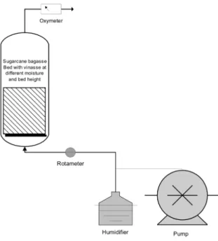 Table 1: Experimental design for evaluation of crude  extract. 