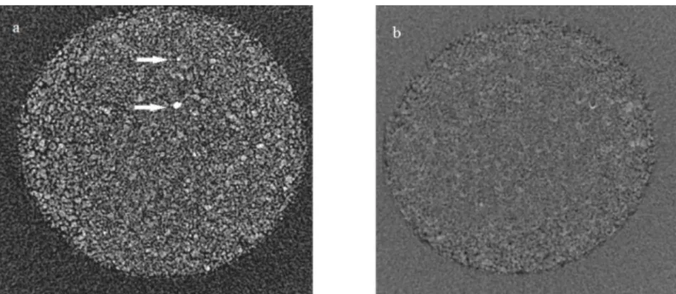 Figure 4: X-ray microtomographic section: a) deactivated catalyst b) reme- reme-diated catalyst