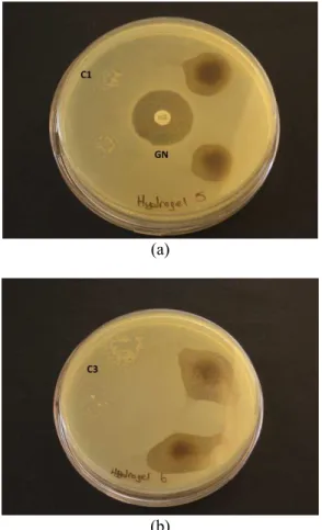 Figure 12: Antibacterial activity of (a)  HSNC1 and  (b) HSNC3 against Pseudomonas aeruginosa (ATCC  9027), C1: Hydrogel 1 without silver and C3: Hydrogel  3 without silver as negative control, GN: Geneticin  as positive control