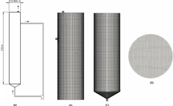 Table 2: Boundary conditions and physical proper- proper-ties used in the numerical simulations