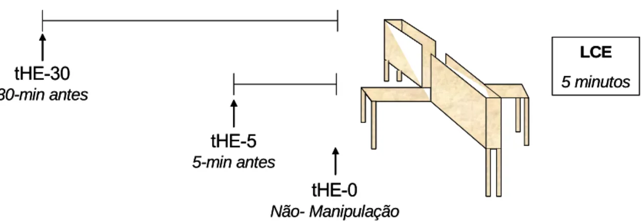 Figura 5 – Procedimento para a execução dos intervalos entre manipulação e exposição  (tHE) antes da primeira exposição ao LCE