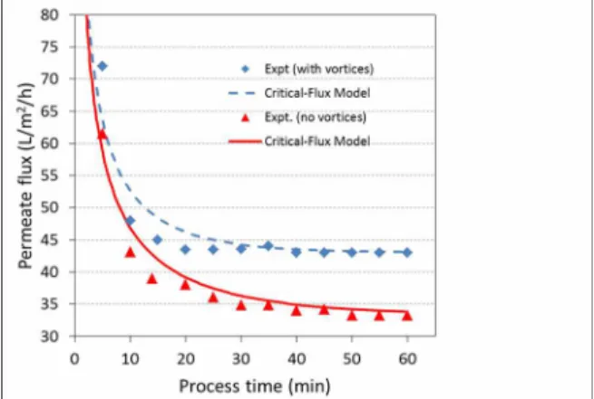 Figure 8: Comparison of the critical-flux model [Eq. 