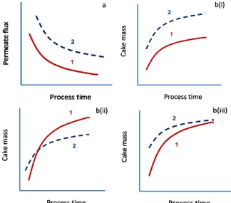 Figure A1: Behavior of permeate flux and cake  accumulation on the membrane surface as a  func-tion of process time for  α 1  >  α 2  (Case 1)