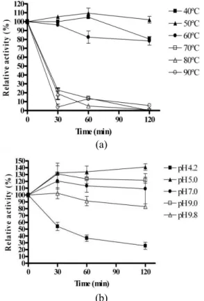 Figure 6: Zymogram analysis of CMCase produced  by  Bacillus  sp. strain C1AC5507. The  right panel  shows a polyacrylamide gel containing CMC after  zy-mogram activity staining
