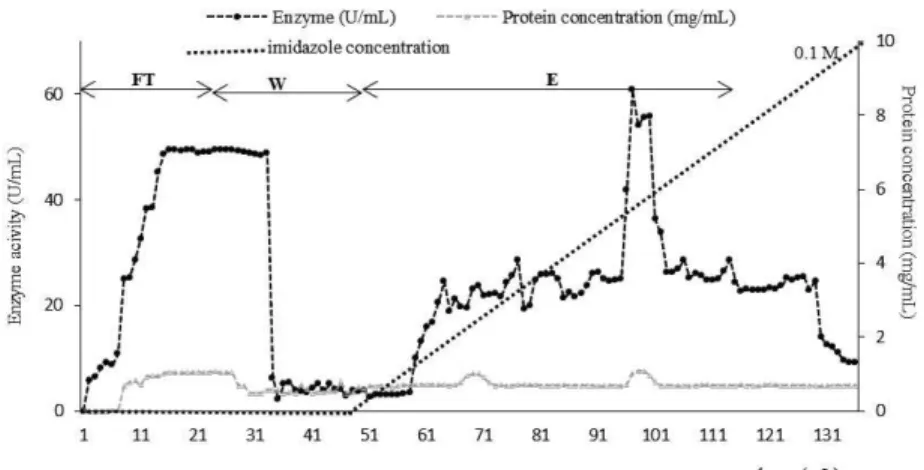 Figure 4: Chromatogram of CGTase separation via Ni 2+  IMAC resin at 1 mL/min. Buffers  used: equilibration buffer: 20 mM sodium phosphate, pH 7, washing buffer: 20 mM sodium  phosphate buffer, pH 7, gradient elution 20 mM sodium phosphate, 0.1 M Imidazole