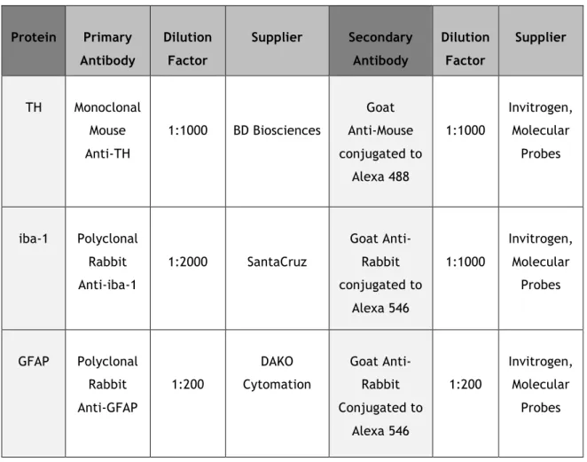 Table 1 – Description of antibodies used in immunohistochemistry assays.  Protein  Primary  Antibody  Dilution Factor  Supplier  Secondary Antibody  Dilution Factor  Supplier  TH  Monoclonal  Mouse  Anti-TH  1:1000  BD Biosciences  Goat  Anti-Mouse  conjug