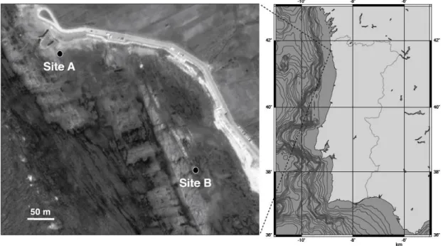 Figure 2.1.  Map showing the location of the study site at Viana do Castelo, Portugal, and  detailed view of the shore indicating the positions of the sampling sites A and B.