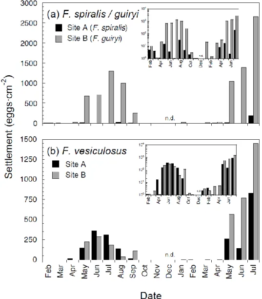 Figure  2.2.  Monthly egg settlement from  Fucus spiralis  and  Fucus guiryi  (a) and  Fucus vesiculosus  (b) in site A (dark bars) and site B (grey bars) between February 2002 and July  2003