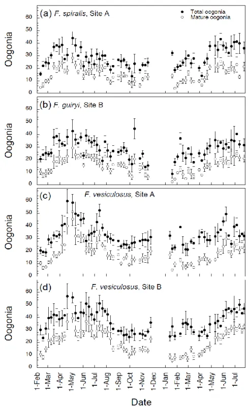 Figure  2.3.  Total  number  of  oogonia  (closed  symbols)  and  number  of  mature  oogonia  (open  symbols)  per  conceptacle  (n  =  5  receptacles,  ±  SE)  from  Fucus spiralis   (plot  a),  Fucus guiryi  (plot b), and  Fucus vesiculosus  (plots c an