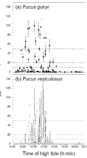 Figure 2.6.  Relationship between the timing of high tide and egg settlement (shown as a  percentage of the maximum) in a)  Fucus guiryi , and b)  Fucus vesiculosus  at site A and B