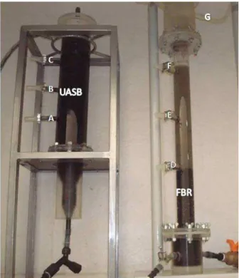 Figure 1: Pictures of the two lab-scale reactors,  UASB and FBR. The UASB reactor had a total  volume of 3.0 L and contained three sampling ports  (a,  b and c)