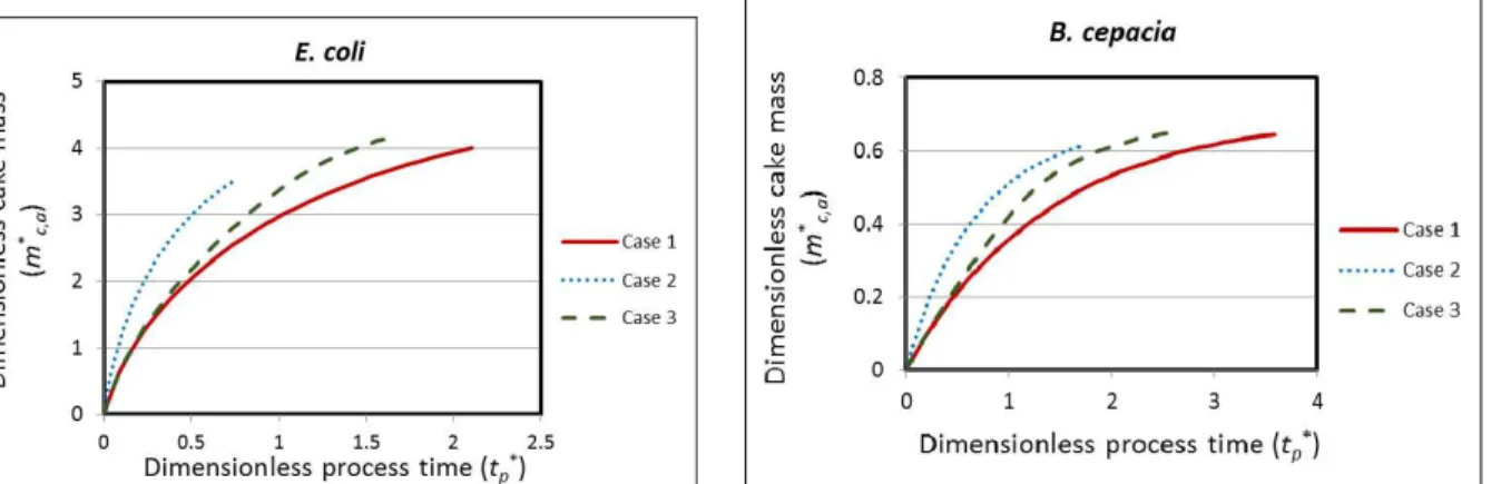 Figure 13: Predicted cake buildup with process  time in the microfiltration of E. coli in the  small-scale unit (S *  = 0.025, expt