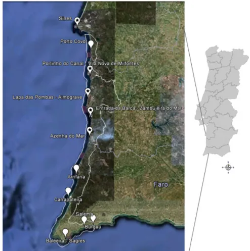 Fig.  5 - Portos de Pesca do PNSACV e porto de Sines. Portos de pesca onde foram realizados  inquéritos assinalados com  .Área do PNSACV delimitada a branco.Imagem através de 2011 Google  inc