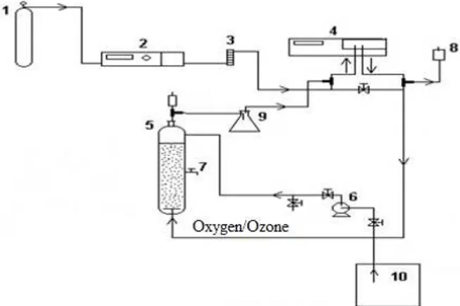 Figure 2: Schematic diagram of the ozonation appa- appa-ratus utilized in this study: 1: Oxygen bottle; 2: Ozone  generator; 3: Gas flowmeter; 4: Spectrophotometer; 5: 