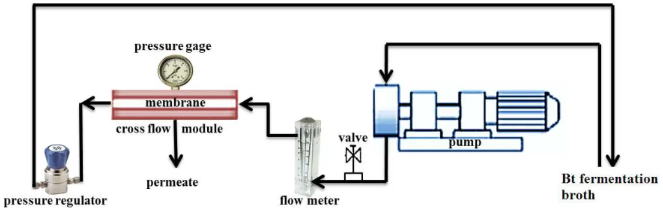 Figure 1: A general scheme of the cross-flow filtration apparatus applied in this work